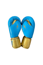 Carregar imagem no visualizador da galeria, BOXING GLOVES - BLUE // GOLD Boxing Gloves Aviator Nation