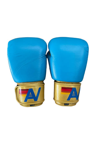 BOXING GLOVES - BLUE // GOLD Boxing Gloves Aviator Nation