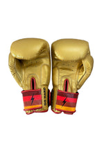 Carregar imagem no visualizador da galeria, BOXING GLOVES - GOLD Boxing Gloves Aviator Nation