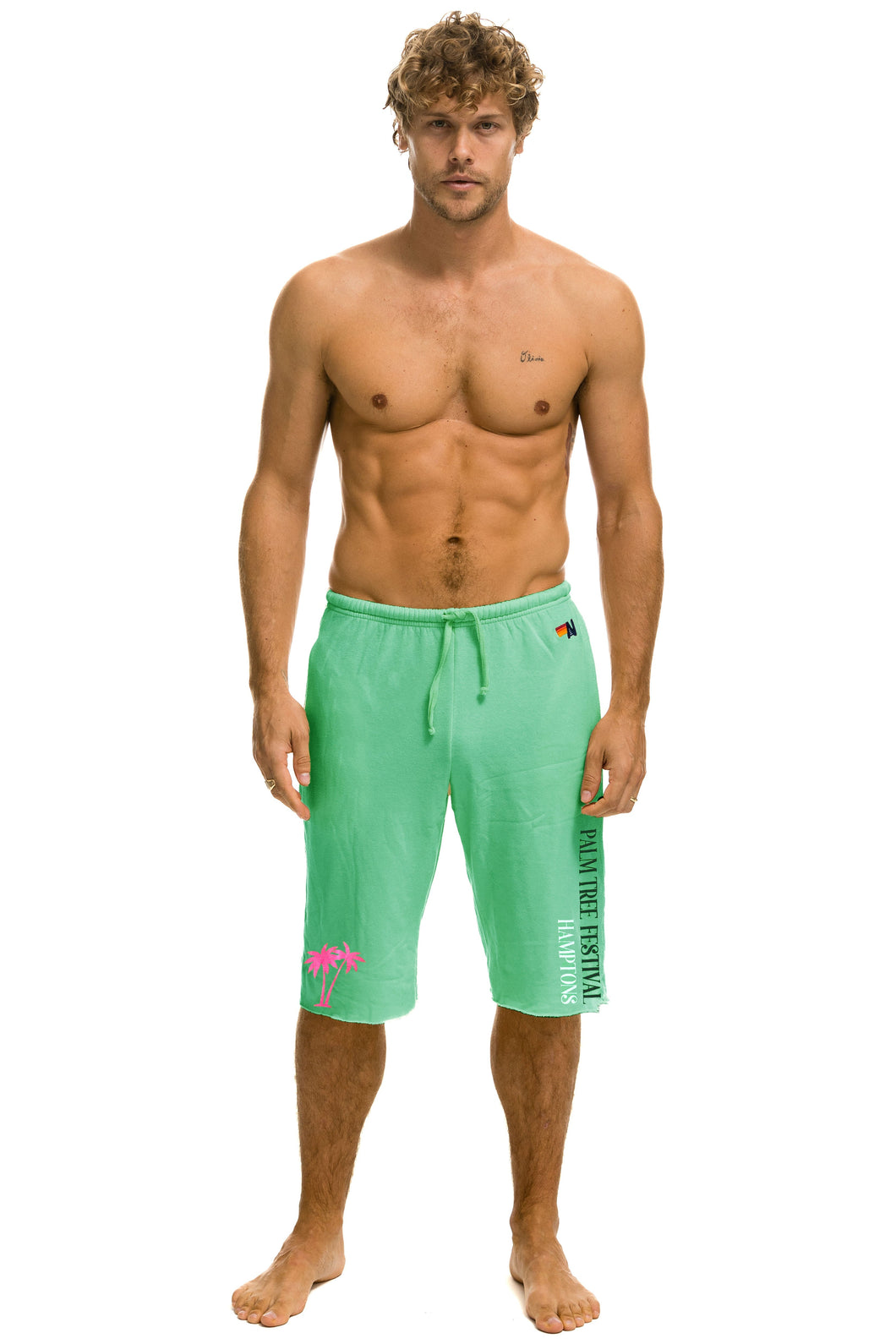 PALM TREE HAMPTONS 2023 SWEATSHORTS - MINT Aviator Nation